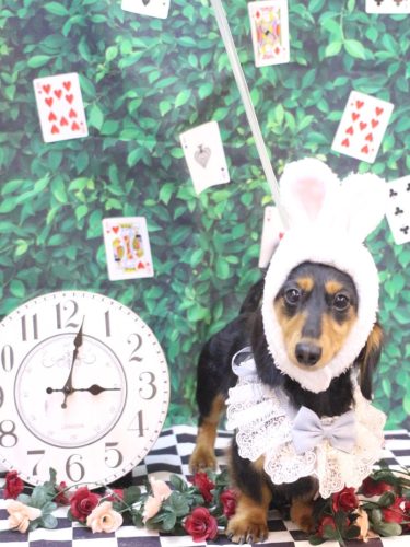 20250420カロくん